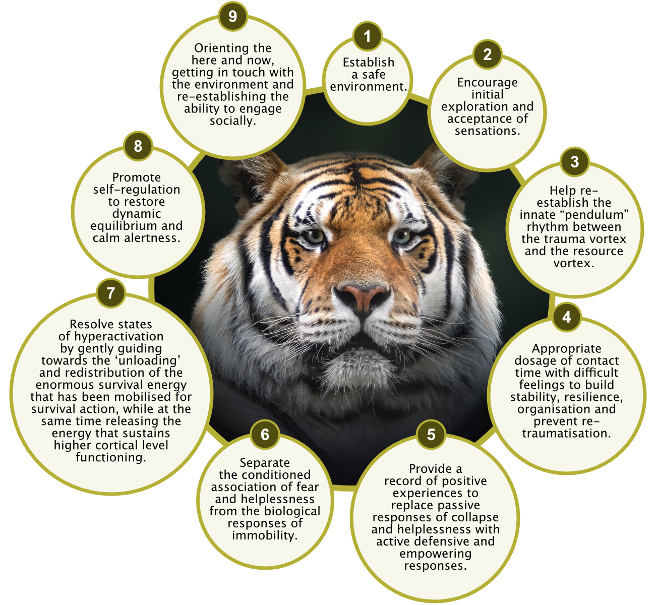 The nine pillars of SOMATIC EXPERIENCING