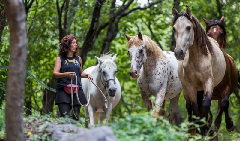 Taller con caballos de refinamiento de las habilidades somáticas para SEPs