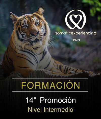 14ª Promoción - Nivel Intermedio (Presencial)