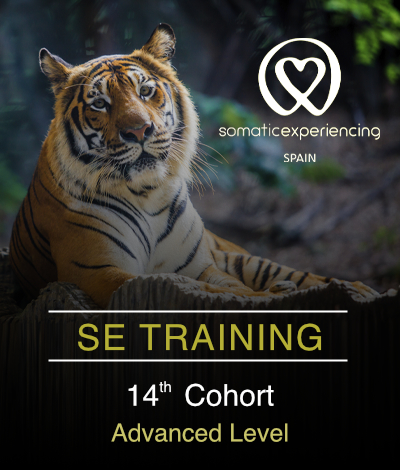 14th Cohort – Advanced Level (face-to-face)