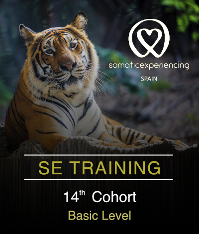 14th Cohort - Beginning Level (face-to-face)