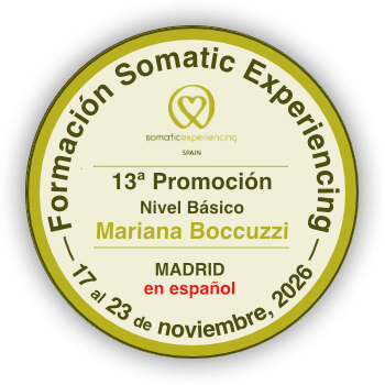 https://shamiexperiencing.es/wp-content/uploads/2026/04/banner-13-promo-nov-26-absoluto.png